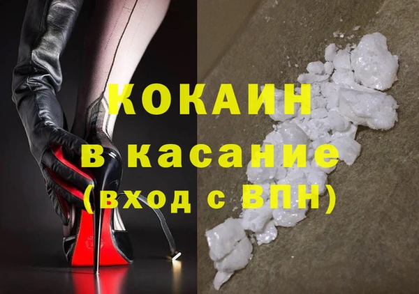 стафф Богданович