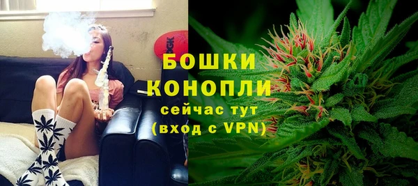 крисы Белокуриха