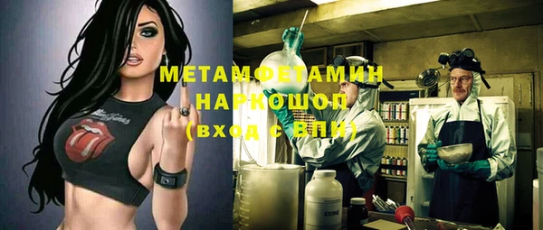 крисы Белокуриха