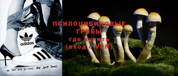 альфа пвп Беломорск