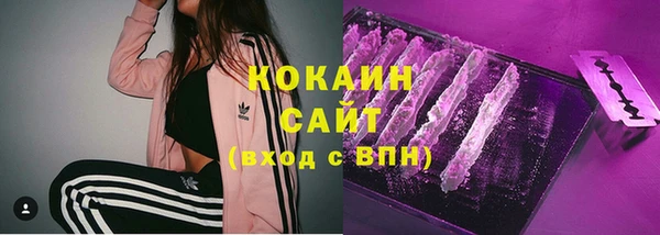 крисы Белокуриха