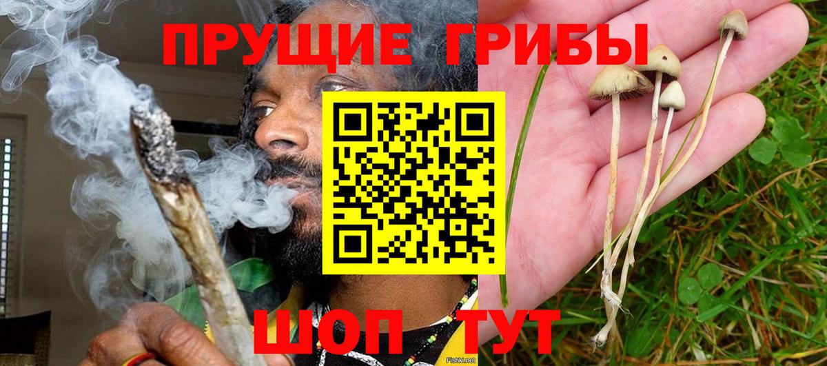 Псилоцибиновые грибы ЛСД  где продают   Гусев  Вход с VPN 