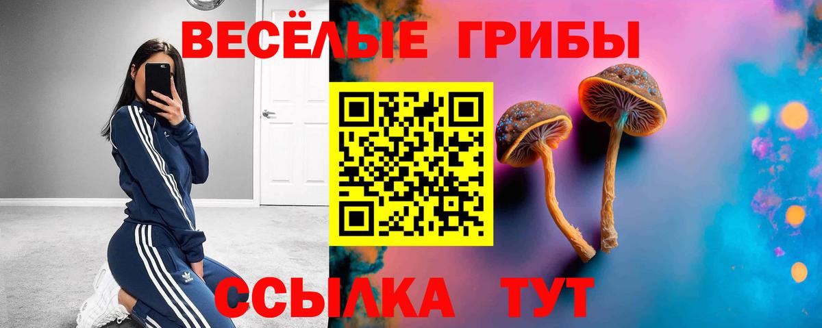 Галлюциногенные грибы прущие грибы Гусев