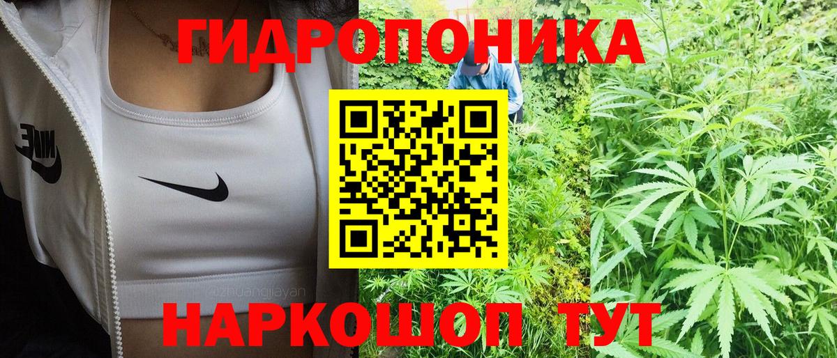Марихуана марихуана Гусев